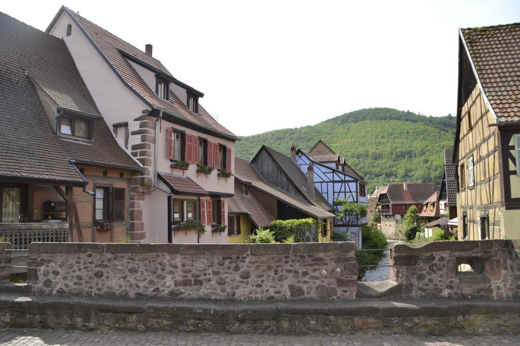 Gites Du Stekala Kaysersberg-Vignoble Rum bild