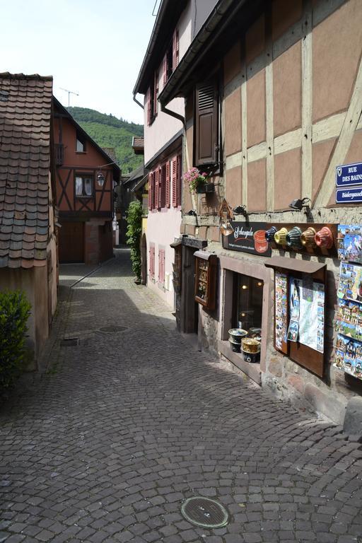 Gites Du Stekala Kaysersberg-Vignoble Rum bild