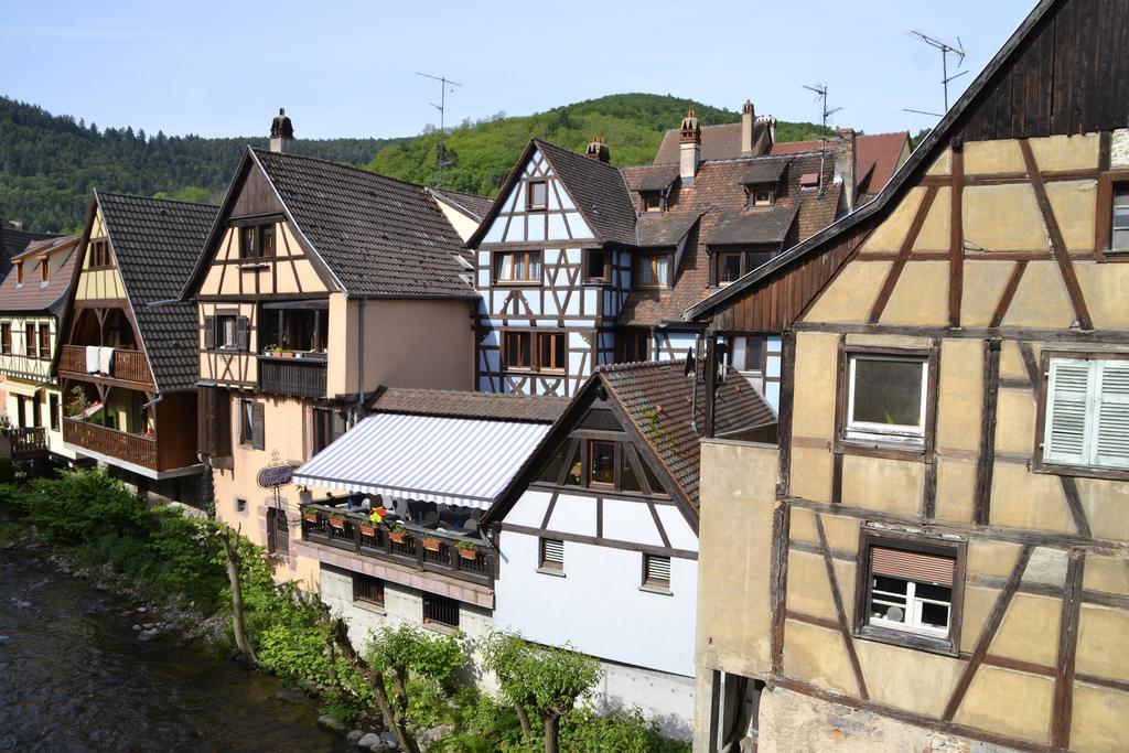 Gites Du Stekala Kaysersberg-Vignoble Rum bild