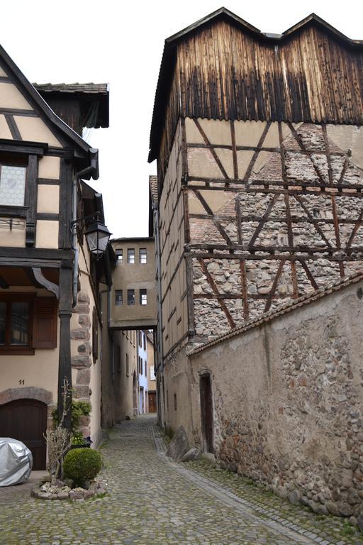 Gites Du Stekala Kaysersberg-Vignoble Exteriör bild