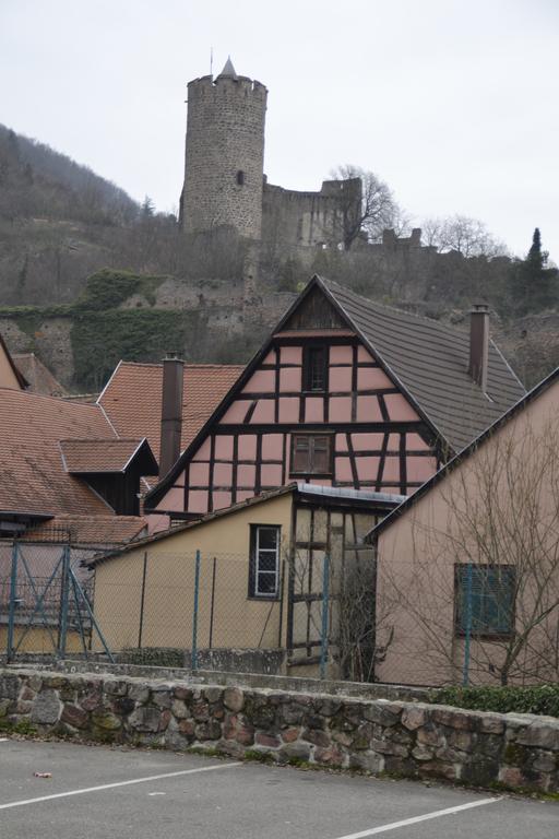 Gites Du Stekala Kaysersberg-Vignoble Exteriör bild